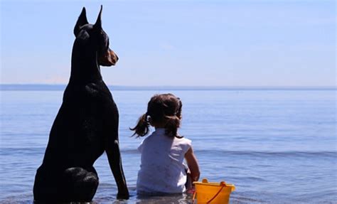 The Friendship Between A Girl And Her Doberman Pinscher Will Melt Your Heart