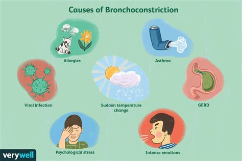 Bronchoconstriction: Overview and More