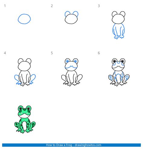 How To Draw A Frog Step By Step