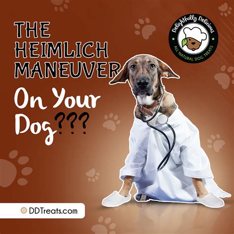 The Heimlich Maneuver On Your Dog?