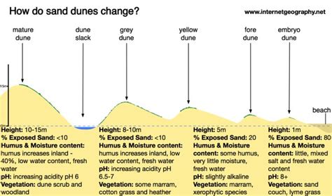 How are sand dunes formed? - Internet Geography | Sand dunes, Dune, Sand