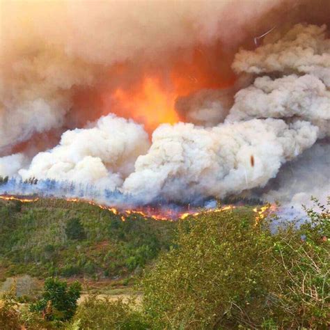 Santam releases independent disaster report on Knysna fires | The Citizen