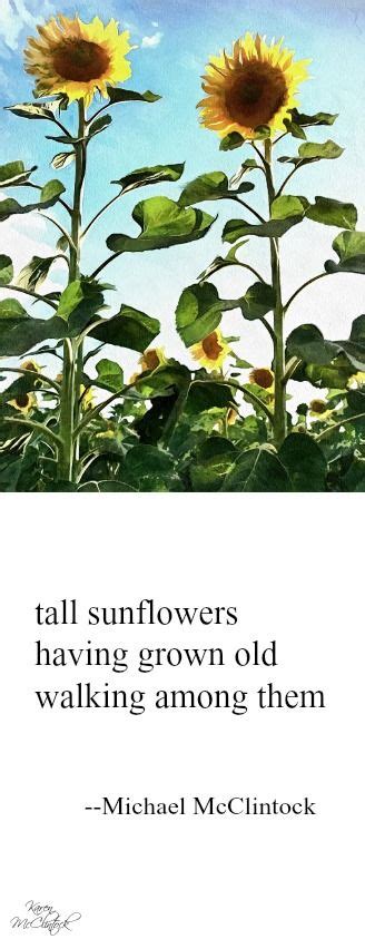 Haiku poem: tall sunflowers -- by Michael McClintock. | Haiku poems, Haiku poetry, Poetry art