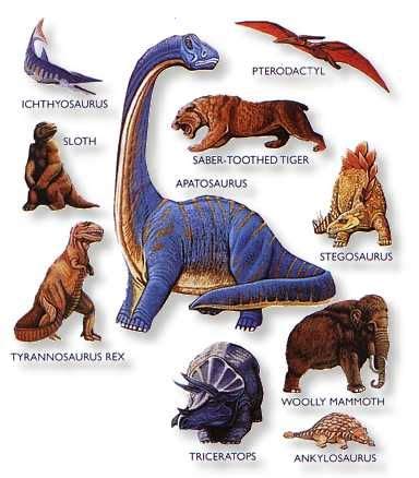 Animal Figure Flannel Board Sets | Dinosaur images, Dinosaurs names and pictures, Dinosaur names