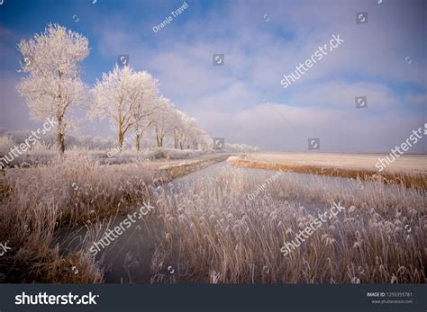 61,778 Netherlands winter Images, Stock Photos & Vectors | Shutterstock