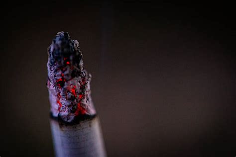 Royalty Free Cigarette Ash Pictures, Images and Stock Photos - iStock