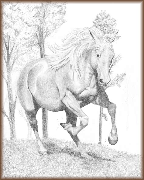 Photo : Wild Horsesmustangs Galloping Images | Drawing horse, Horses ...