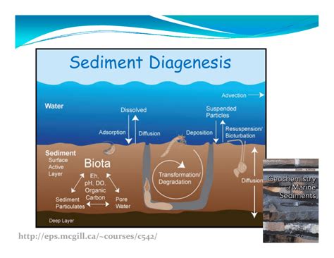 Sediment Diagenesis