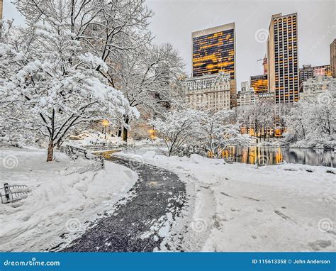 Central Park, New York City Snow Stock Photo - Image of park, frosty ...