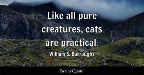 William S. Burroughs Quotes - BrainyQuote