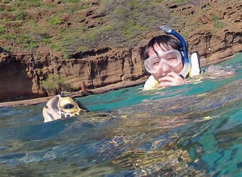 Hanauma Bay Guided Snorkel Tour - Hanauma Bay Dive Tours Reservations