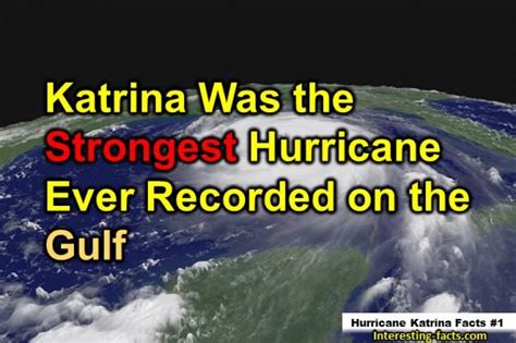 Hurricane Katrina Facts - 10 Facts about Hurricane KatrinaHurricane Katrina Facts - Interesting ...