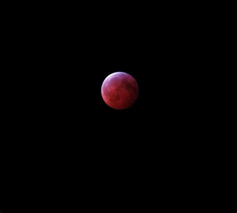 Super blood wolf moon 2019: Photos and videos of the lunar eclipse from around the world - ABC13 ...