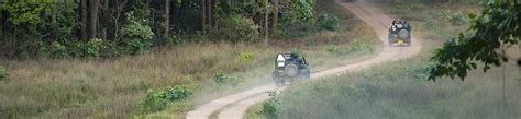 Kanha National Park - Best Park for Tiger Safari in India