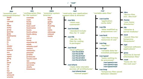 Linux Tutorials: root file systems in linux - DevOpsSchool.com