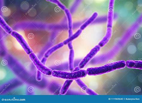 Streptobacillus Moniliformis Bacteria Royalty-Free Illustration ...