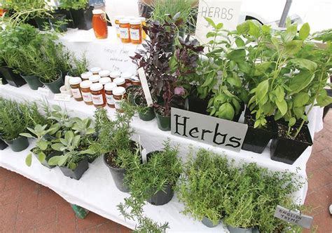 Sell herb plants - how to sell herbs at farmers market - Google Search ...