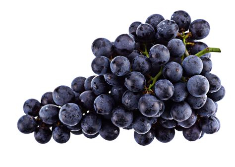 Black Monukka Seedless Grape Vine