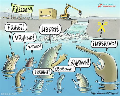 Fishes - Migrating fish and dam removal - Environmental Cartoons