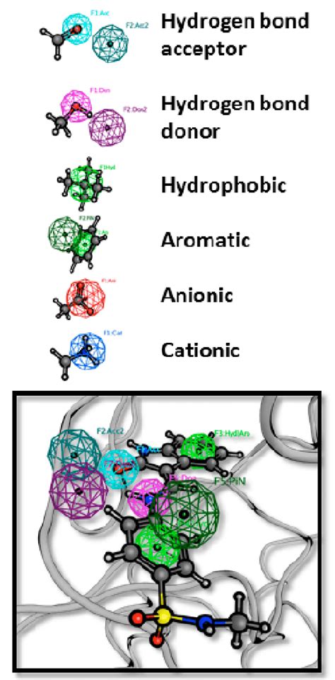 (A) Pharmacophore models are composed of functional features ...