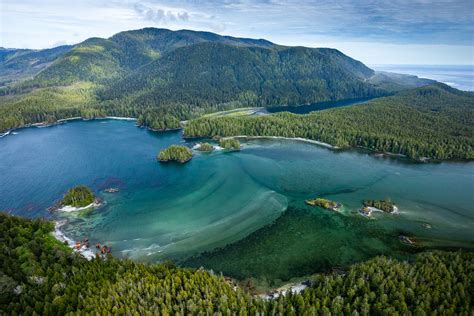 Nootka Island Old-Growth Logging - Part 1 - Ancient Forest Alliance