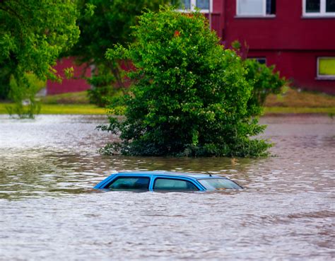 Come on Irene...Flood Damage Repair at Rick's - Rick's Auto Detailing