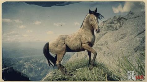 Missouri Fox Trotter | RDR2 Horse Breeds Coats, Locations & Stats