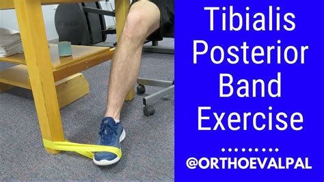 Tibialis Posterior strengthening exercise with a band - YouTube