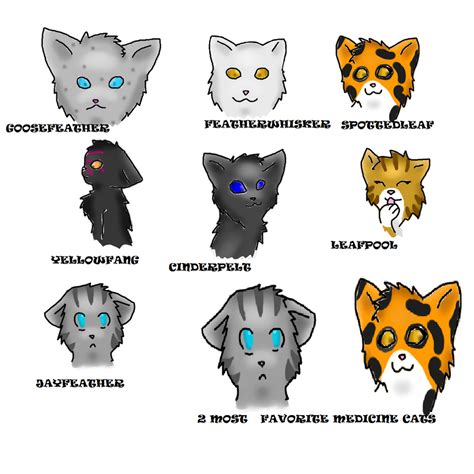 Meet ThunderClan Medicine Cats by sydneytheskunk on DeviantArt