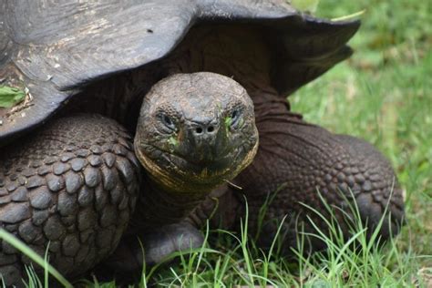 Galapagos Islands: Wildlife Cruise by Private Yacht - AdventureWomen