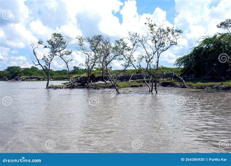 The Land Erosion in the Bank of the River in the Rural West Bengal ...