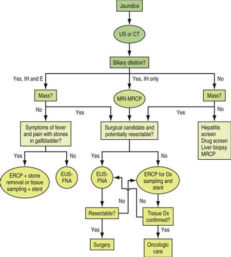 Indeterminate Biliary Stricture | Abdominal Key