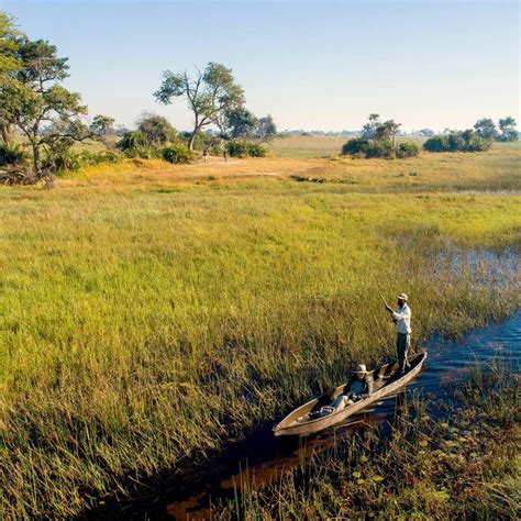 Okavango Delta safaris | Expert Africa's guide