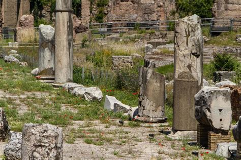 Roman ruins in Rome, Forum 8498439 Stock Photo at Vecteezy