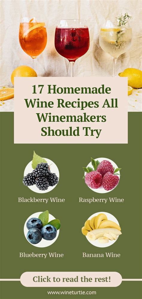 Raspberry Wine Recipe 1 Gallon