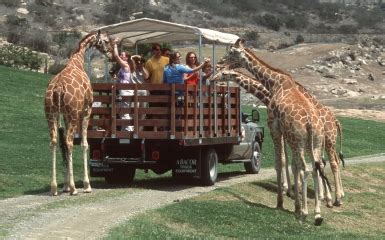 Tourism: San Diego Zoo Safari Park