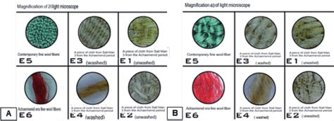 shows wool fibers with a magnification of 40x and 20x by light... | Download Scientific Diagram