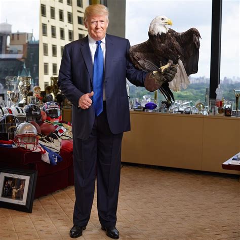 Watch Donald Trump Get Attacked By A Bald Eagle Named Uncle Sam - Art-Sheep