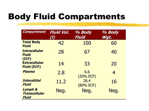 PPT - FLUID BALANCE PowerPoint Presentation, free download - ID:915302