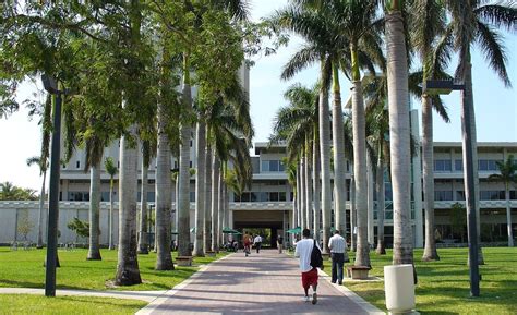 35 Interesting Facts about University of Miami - World's Facts