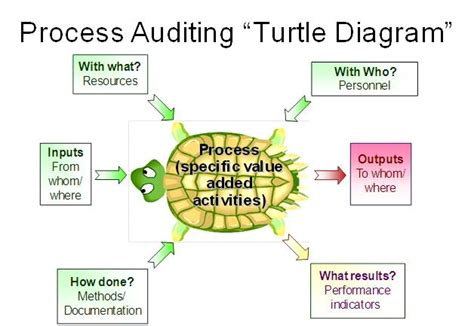 Process Auditing - "Turtle Diagram" - Medical Device Academy