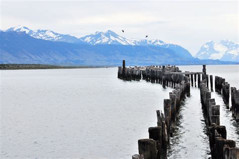 Punta Arenas - Chile | Viaggi