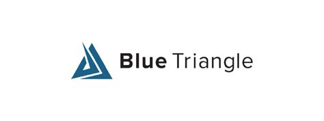 Blue Triangle | Real-Time Website Monitoring & Analysis