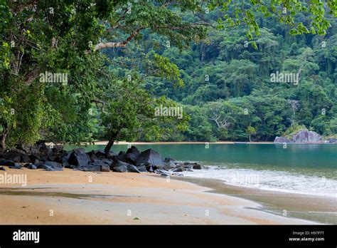 Beautiful dream paradise beach in Masoala national park, Madagascar ...