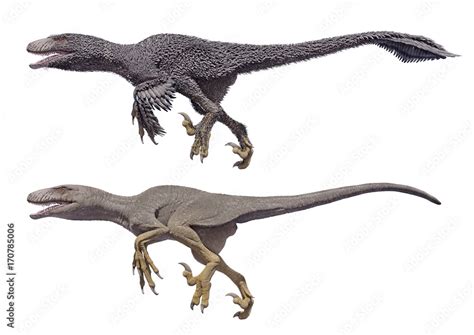 3D rendering of a Dakotaraptor with and without feathers, isolated on a ...