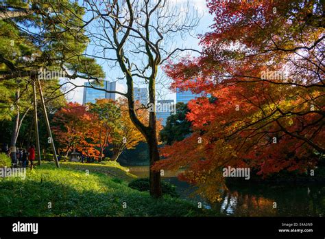 Koishikawa Korakuen Garden in Autumn in Tokyo Stock Photo - Alamy