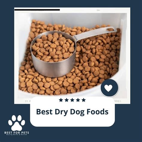 The 9 Best Dry Dog Foods in 2024 - BestForPets.org