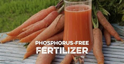 Phosphorus-Free Fertilizer