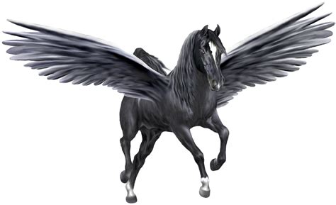 Pegasus PNG Image - PurePNG | Free transparent CC0 PNG Image Library