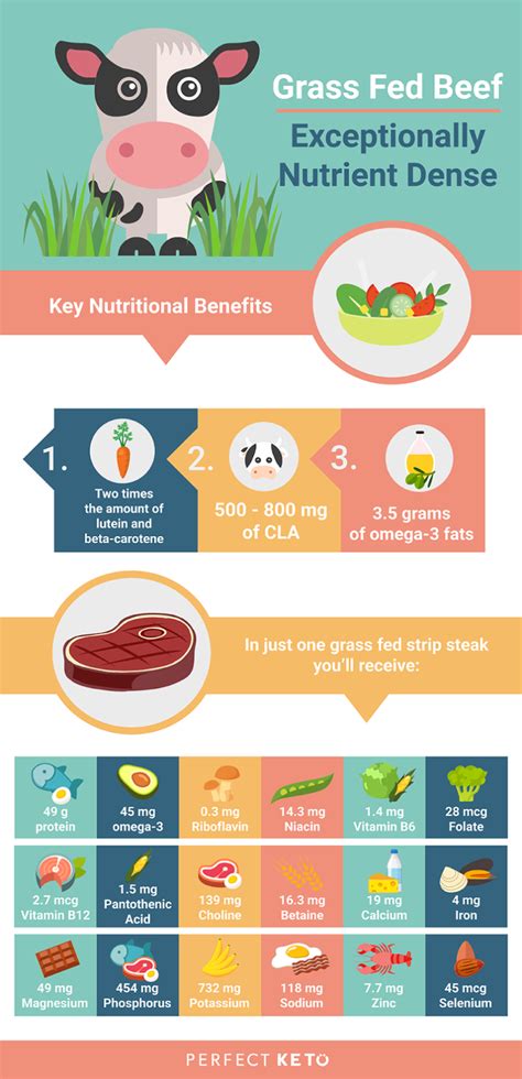 The 7 Benefits of Grass Fed Beef: The Nutritional Powerhouse